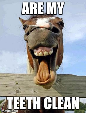 horsesmile | ARE MY; TEETH CLEAN | image tagged in horsesmile | made w/ Imgflip meme maker