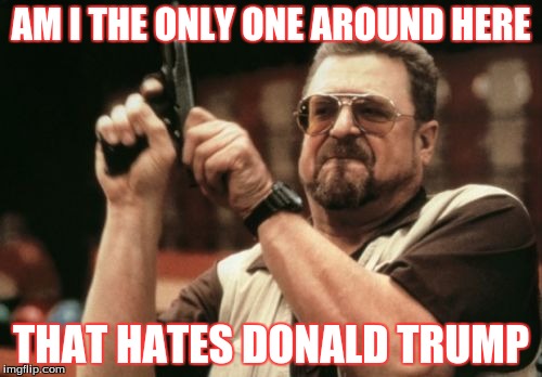 Am I The Only One Around Here | AM I THE ONLY ONE AROUND HERE; THAT HATES DONALD TRUMP | image tagged in memes,am i the only one around here | made w/ Imgflip meme maker