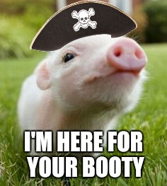Adorable pig is adorable www.facebook.com/InspiringButts/ | I'M HERE FOR YOUR BOOTY | image tagged in booty,funny,pig,cute,memes | made w/ Imgflip meme maker