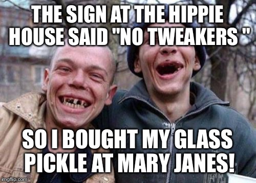 Ugly Twins | THE SIGN AT THE HIPPIE HOUSE SAID "NO TWEAKERS "; SO I BOUGHT MY GLASS PICKLE AT MARY JANES! | image tagged in memes,ugly twins | made w/ Imgflip meme maker
