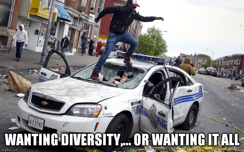 WANTING DIVERSITY,... OR WANTING IT ALL | made w/ Imgflip meme maker