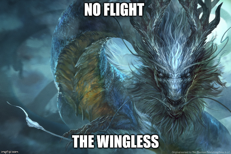 NO FLIGHT THE WINGLESS | made w/ Imgflip meme maker