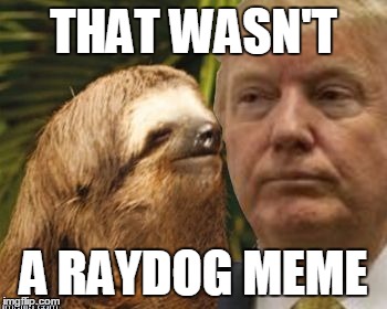 Political advice sloth | THAT WASN'T A RAYDOG MEME | image tagged in political advice sloth | made w/ Imgflip meme maker