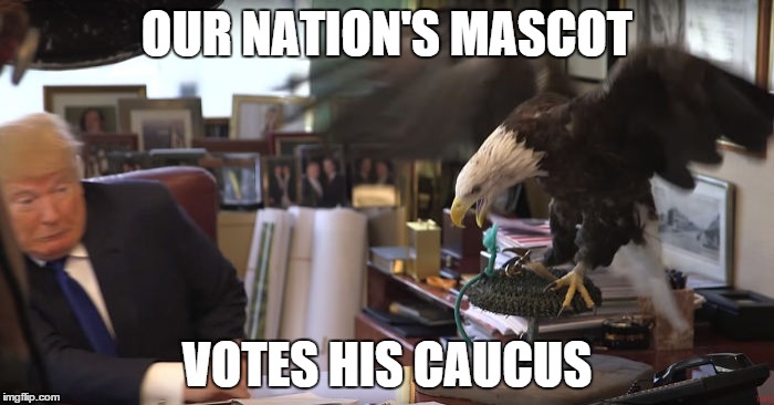 The Delegate Votes | OUR NATION'S MASCOT; VOTES HIS CAUCUS | image tagged in donald trump | made w/ Imgflip meme maker