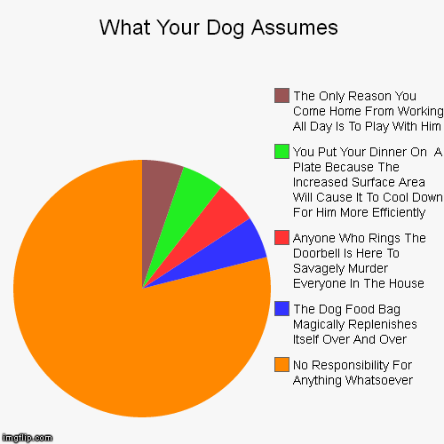 image tagged in funny,pie charts | made w/ Imgflip chart maker