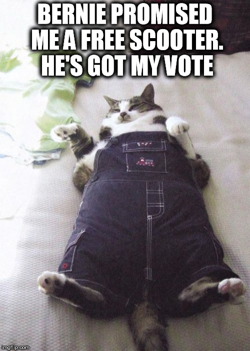 Free Scooters for Everyone | BERNIE PROMISED ME A FREE SCOOTER. HE'S GOT MY VOTE | image tagged in memes,fat cat,bernie sanders,bernie,feel the bern | made w/ Imgflip meme maker