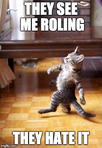 Cool Cat Stroll Meme | THEY SEE ME ROLING; THEY HATE IT | image tagged in memes,cool cat stroll | made w/ Imgflip meme maker