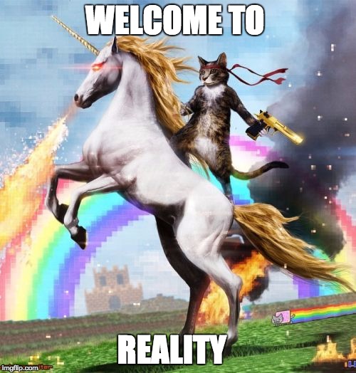 Welcome To The Internets Meme | WELCOME TO; REALITY | image tagged in memes,welcome to the internets | made w/ Imgflip meme maker