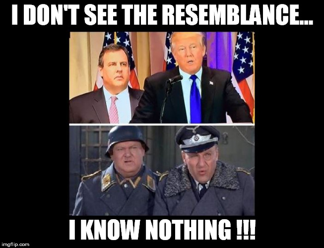 I DON'T SEE THE RESEMBLANCE... I KNOW NOTHING !!! | image tagged in donald trump,trump | made w/ Imgflip meme maker