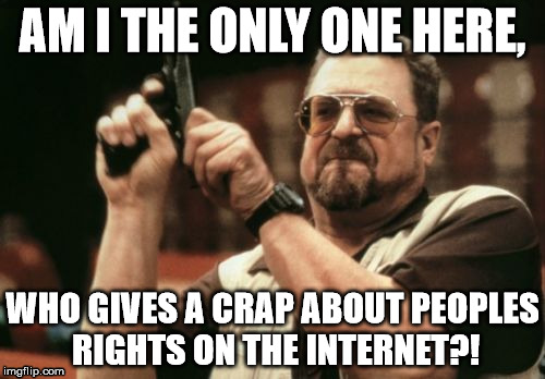 People on the internet have rights too ya know? | AM I THE ONLY ONE HERE, WHO GIVES A CRAP ABOUT PEOPLES RIGHTS ON THE INTERNET?! | image tagged in memes,am i the only one around here | made w/ Imgflip meme maker