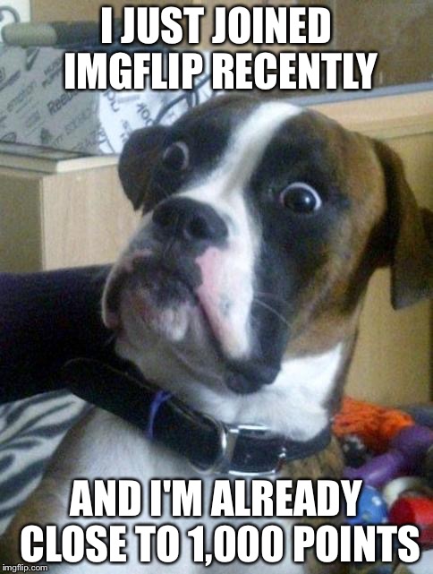 Time to bring out the "Meme Comment" feature! | I JUST JOINED IMGFLIP RECENTLY; AND I'M ALREADY CLOSE TO 1,000 POINTS | image tagged in suprised boxer,imgflip | made w/ Imgflip meme maker