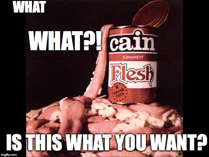 WHAT WHAT?! IS THIS WHAT YOU WANT? | made w/ Imgflip meme maker