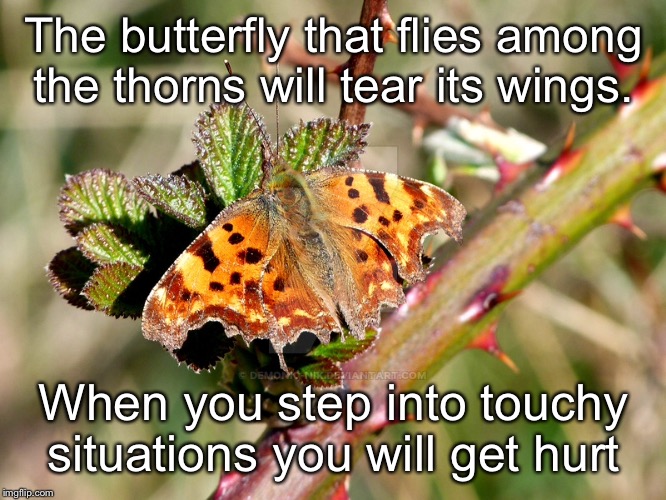 English Proverb Meme | The butterfly that flies among the thorns will tear its wings. When you step into touchy situations you will get hurt | image tagged in memes | made w/ Imgflip meme maker