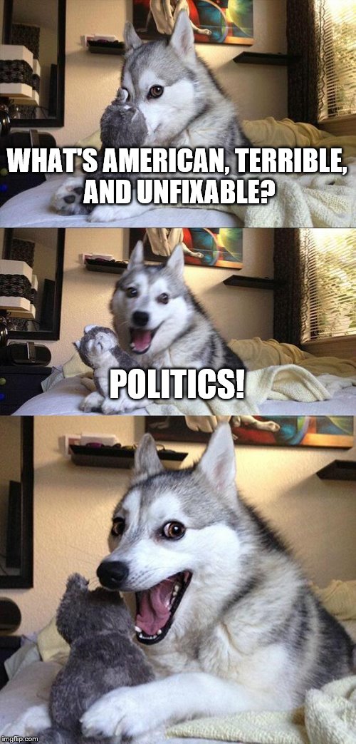 Bad Pun Dog | WHAT'S AMERICAN, TERRIBLE, AND UNFIXABLE? POLITICS! | image tagged in memes,bad pun dog | made w/ Imgflip meme maker