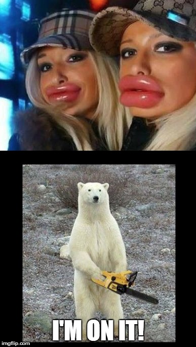 Saw it off! | I'M ON IT! | image tagged in duck face chicks,chainsaw bear,funny memes,funny,memes | made w/ Imgflip meme maker