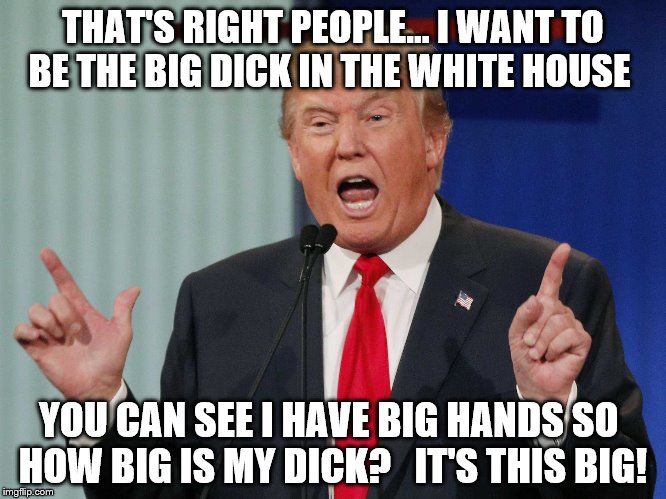 How Big Is My Penis Quiz 15