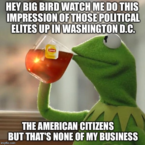 A GOP iggy Establishment Of Misses  | HEY BIG BIRD WATCH ME DO THIS IMPRESSION OF THOSE POLITICAL ELITES UP IN WASHINGTON D.C. THE AMERICAN CITIZENS 
     BUT THAT'S NONE OF MY BUSINESS | image tagged in memes,kermit the frog,washington dc,politicians,elitist,big bird | made w/ Imgflip meme maker