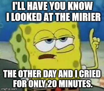 I'll Have You Know Spongebob Meme | I'LL HAVE YOU KNOW I LOOKED AT THE MIRIER; THE OTHER DAY AND I CRIED FOR ONLY 20 MINUTES. | image tagged in memes,ill have you know spongebob | made w/ Imgflip meme maker