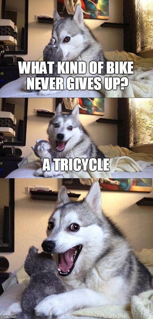 Bad Pun Dog Meme | WHAT KIND OF BIKE NEVER GIVES UP? A TRICYCLE | image tagged in memes,bad pun dog | made w/ Imgflip meme maker