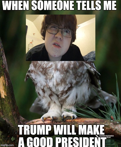Owl | WHEN SOMEONE TELLS ME; TRUMP WILL MAKE A GOOD PRESIDENT | image tagged in owl | made w/ Imgflip meme maker