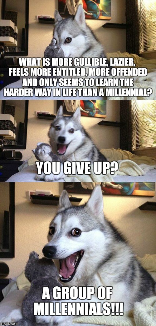 Bad Pun Dog Meme | WHAT IS MORE GULLIBLE, LAZIER, FEELS MORE ENTITLED, MORE OFFENDED AND ONLY SEEMS TO LEARN THE HARDER WAY IN LIFE THAN A MILLENNIAL? YOU GIVE UP? A GROUP OF MILLENNIALS!!! | image tagged in memes,bad pun dog | made w/ Imgflip meme maker