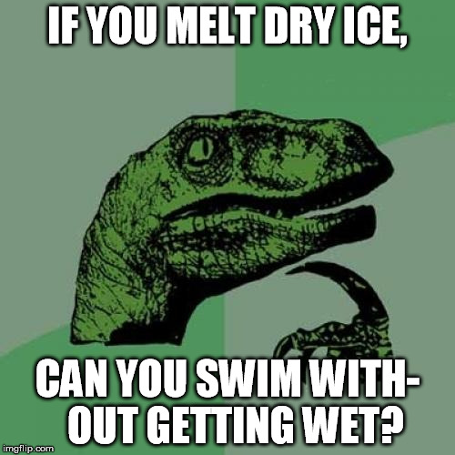 Philosoraptor Meme | IF YOU MELT DRY ICE, CAN YOU SWIM WITH- 
OUT GETTING WET? | image tagged in memes,philosoraptor | made w/ Imgflip meme maker