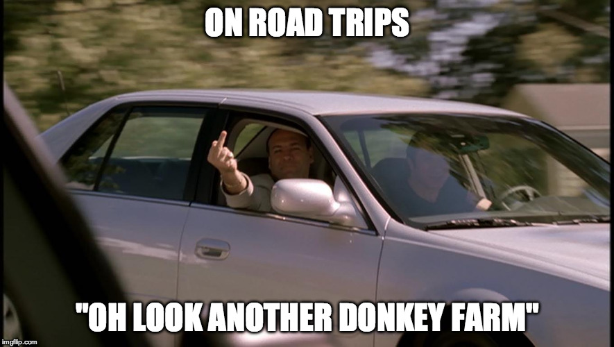 ON ROAD TRIPS; "OH LOOK ANOTHER DONKEY FARM" | image tagged in funny | made w/ Imgflip meme maker