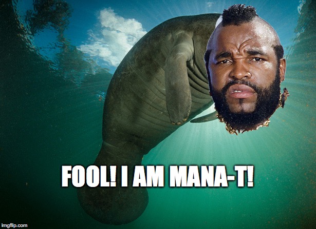  FOOL! I AM MANA-T! | image tagged in manatee,mrt | made w/ Imgflip meme maker