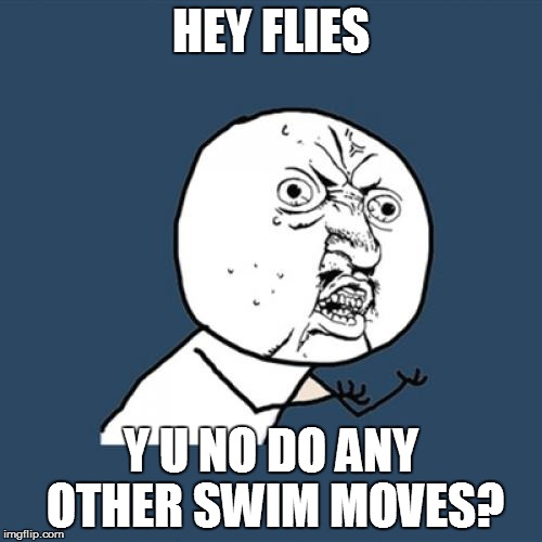 Y U No Meme | HEY FLIES Y U NO DO ANY OTHER SWIM MOVES? | image tagged in memes,y u no | made w/ Imgflip meme maker