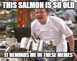 only so many more of these guys, please | THIS SALMON IS SO OLD; IT REMINDS ME OF THESE MEMES | image tagged in gordon ramsey,old | made w/ Imgflip meme maker