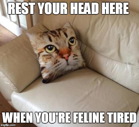 Error: Title not found | REST YOUR HEAD HERE; WHEN YOU'RE FELINE TIRED | image tagged in feline,memes,funny,puns,wow,yep | made w/ Imgflip meme maker