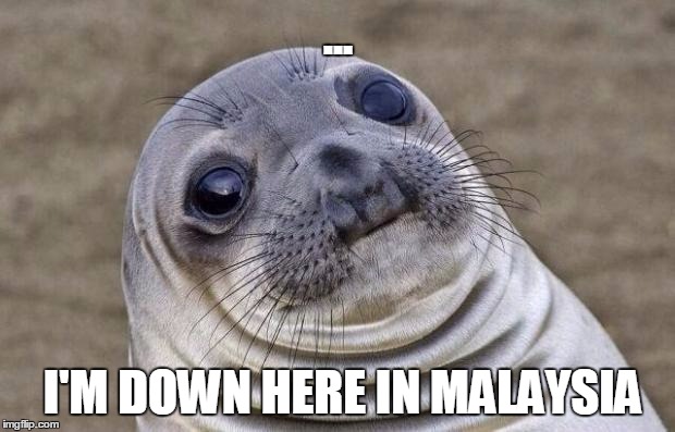 ... I'M DOWN HERE IN MALAYSIA | image tagged in memes,awkward moment sealion | made w/ Imgflip meme maker