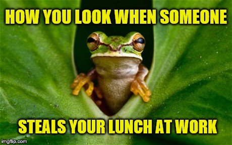 work | HOW YOU LOOK WHEN SOMEONE; STEALS YOUR LUNCH AT WORK | image tagged in frogs | made w/ Imgflip meme maker