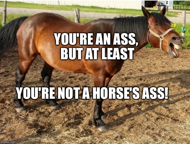 LAUGHING HORSE | YOU'RE AN ASS, BUT AT LEAST YOU'RE NOT A HORSE'S ASS! | image tagged in laughing horse | made w/ Imgflip meme maker