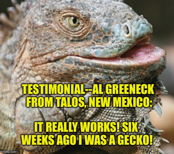 Iguana | TESTIMONIAL--AL GREENECK FROM TALOS, NEW MEXICO: IT REALLY WORKS! SIX WEEKS AGO I WAS A GECKO! | image tagged in iguana | made w/ Imgflip meme maker