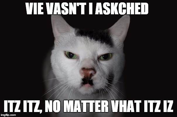 hitler cat | VIE VASN'T I ASKCHED ITZ ITZ, NO MATTER VHAT ITZ IZ | image tagged in hitler cat | made w/ Imgflip meme maker