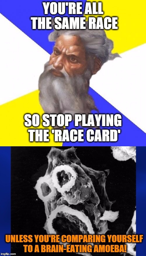 Same race ;; regardless of color. . . unless: | YOU'RE ALL THE SAME RACE; SO STOP PLAYING THE 'RACE CARD'; UNLESS YOU'RE COMPARING YOURSELF TO A BRAIN-EATING AMOEBA! | image tagged in advice god,race,god,amoeba | made w/ Imgflip meme maker