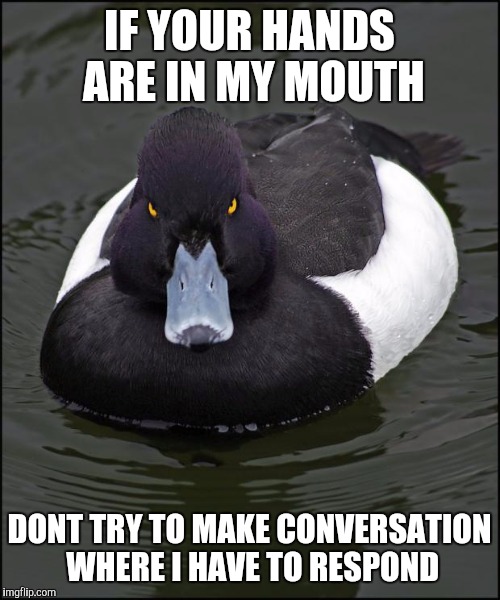 Angry duck | IF YOUR HANDS ARE IN MY MOUTH; DONT TRY TO MAKE CONVERSATION WHERE I HAVE TO RESPOND | image tagged in angry duck,AdviceAnimals | made w/ Imgflip meme maker
