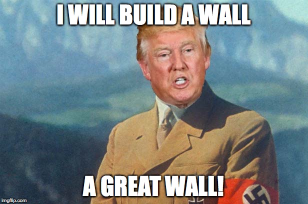 Donalf Trumpler | I WILL BUILD A WALL; A GREAT WALL! | image tagged in donalf trumpler,trump,hitler | made w/ Imgflip meme maker