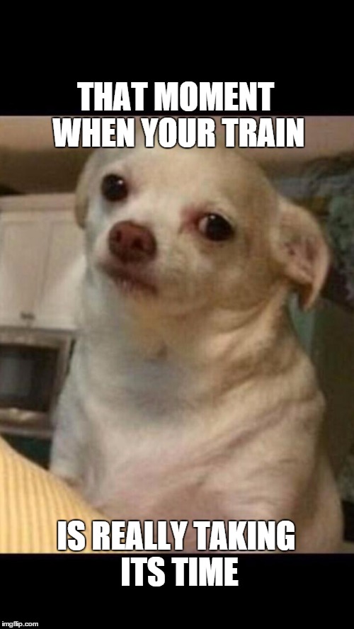 Concerned chihuahua | THAT MOMENT WHEN YOUR TRAIN; IS REALLY TAKING ITS TIME | image tagged in concerned chihuahua | made w/ Imgflip meme maker