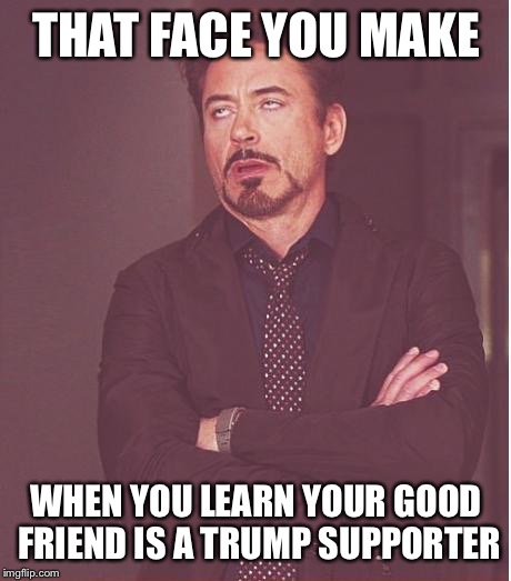 Face You Make Robert Downey Jr | THAT FACE YOU MAKE; WHEN YOU LEARN YOUR GOOD FRIEND IS A TRUMP SUPPORTER | image tagged in memes,face you make robert downey jr | made w/ Imgflip meme maker