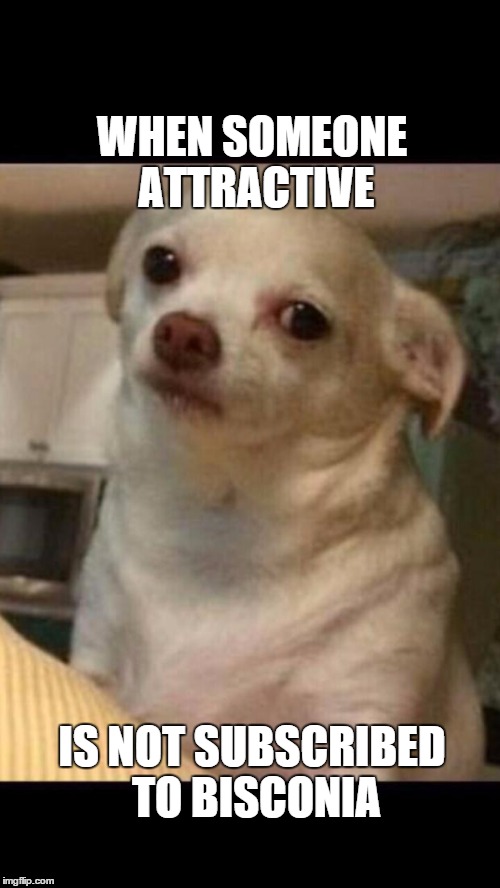 Concerned chihuahua | WHEN SOMEONE ATTRACTIVE; IS NOT SUBSCRIBED TO BISCONIA | image tagged in concerned chihuahua | made w/ Imgflip meme maker