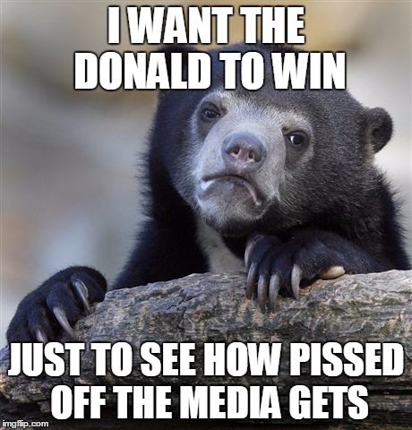 Confession Bear Meme | I WANT THE DONALD TO WIN; JUST TO SEE HOW PISSED OFF THE MEDIA GETS | image tagged in memes,confession bear | made w/ Imgflip meme maker