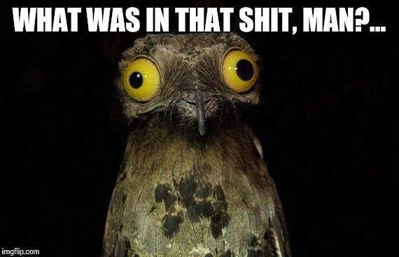 Weird Stuff I Do Potoo Meme | WHAT WAS IN THAT SHIT, MAN?... | image tagged in memes,weird stuff i do potoo | made w/ Imgflip meme maker