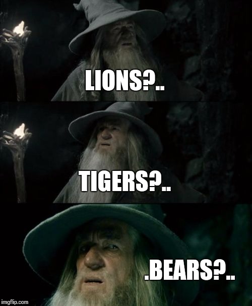 Gandolf | LIONS?.. TIGERS?.. .BEARS?.. | image tagged in memes,confused gandalf,gandolf | made w/ Imgflip meme maker