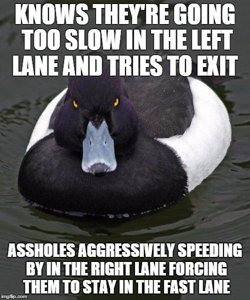 Revenge Duck. | KNOWS THEY'RE GOING TOO SLOW IN THE LEFT LANE AND TRIES TO EXIT; ASSHOLES AGGRESSIVELY SPEEDING BY IN THE RIGHT LANE FORCING THEM TO STAY IN THE FAST LANE | image tagged in revenge duck,AdviceAnimals | made w/ Imgflip meme maker