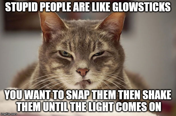 Cranky Kitty | STUPID PEOPLE ARE LIKE GLOWSTICKS; YOU WANT TO SNAP THEM THEN SHAKE THEM UNTIL THE LIGHT COMES ON | image tagged in cranky,kitty,glowstick | made w/ Imgflip meme maker