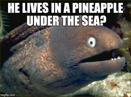 Bad Joke Eel Meme | HE LIVES IN A PINEAPPLE UNDER THE SEA? | image tagged in memes,bad joke eel | made w/ Imgflip meme maker