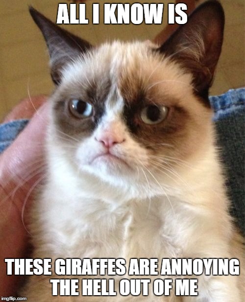Grumpy Cat Meme | ALL I KNOW IS THESE GIRAFFES ARE ANNOYING THE HELL OUT OF ME | image tagged in memes,grumpy cat | made w/ Imgflip meme maker