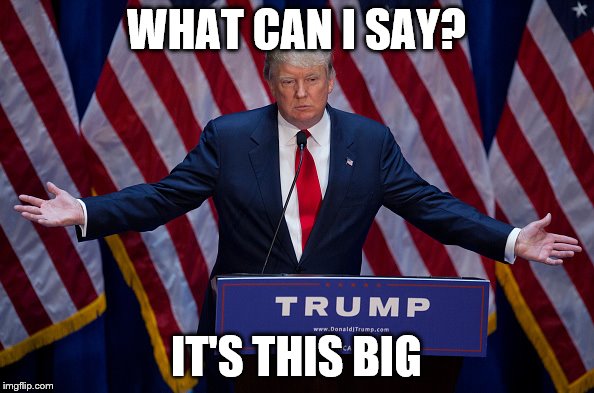 WHAT CAN I SAY? IT'S THIS BIG | made w/ Imgflip meme maker